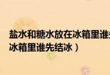 鹽水和糖水放在冰箱里誰先結冰實驗結論（鹽水和糖水放在冰箱里誰先結冰）