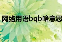 網(wǎng)絡(luò)用語bqb啥意思（rbq啥意思 網(wǎng)絡(luò)用語）