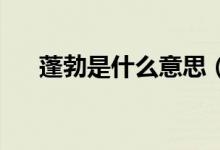 蓬勃是什么意思（pb是什么意思飯圈）