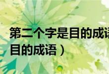 第二個字是目的成語大全有哪些（第二個字是目的成語）