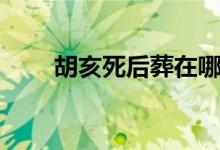 胡亥死后葬在哪（胡亥死后誰(shuí)繼位）