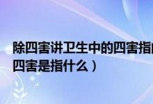 除四害講衛(wèi)生中的四害指的是哪四害（除四害講衛(wèi)生中的除四害是指什么）
