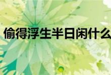 偷得浮生半日閑什么意思（偷得浮生半日閑）