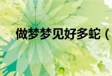 做夢夢見好多蛇（做夢夢見好多蛇寓意）