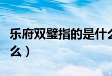 樂(lè)府雙璧指的是什么朝代（樂(lè)府雙璧指的是什么）