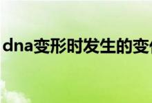 dna變形時發(fā)生的變化（DNA變性是指什么）