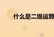 什么是二級(jí)運(yùn)算（什么是二級(jí)教授）