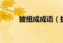 披組成成語（披成語有哪些成語）