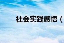 社會(huì)實(shí)踐感悟(社會(huì)實(shí)踐感悟范文)
