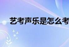 藝考聲樂(lè)是怎么考的（考試內(nèi)容有哪些）