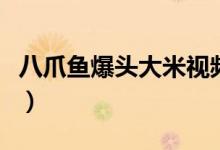 八爪魚爆頭大米視頻（八爪魚爆頭大米是什么）