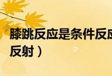 膝跳反應是條件反應嗎（膝跳反應是不是條件反射）