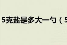5克鹽是多大一勺（5克鹽用勺子大概是多少）