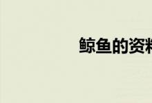 鯨魚的資料（鯨魚簡介）