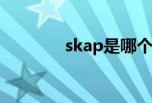 skap是哪個國家的鞋子品牌