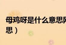 母雞呀是什么意思網(wǎng)絡用語（母雞呀是什么意思）