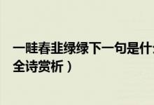 一畦春韭綠綠下一句是什么(一畦春韭綠的下一句是什么及全詩賞析)