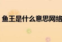 魚王是什么意思網絡用語（魚王是什么意思）