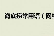 海底撈常用語(網(wǎng)絡(luò)語言海底撈什么意思)