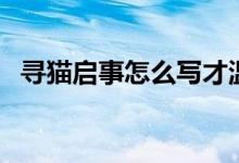 尋貓啟事怎么寫才溫暖（尋貓啟事怎么寫）