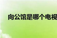 向公館是哪個(gè)電視?。ㄏ旅鏋榇蠹抑v解）
