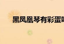 黑鳳凰琴有彩蛋嗎（黑鳳凰琴扮演者）