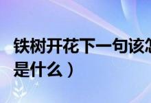 鐵樹(shù)開(kāi)花下一句該怎么回復(fù)（鐵樹(shù)開(kāi)花下一句是什么）