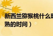 新西蘭獼猴桃什么時(shí)候成熟（新西蘭獼猴桃成熟的時(shí)間）