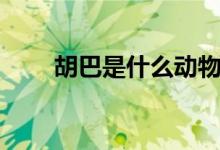 胡巴是什么動(dòng)物（胡巴是什么動(dòng)物）