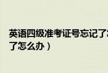 英語四級準考證號忘記了怎么找回（英語四級準考證號忘記了怎么辦）