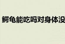鱷龜能吃嗎對(duì)身體沒有危害吧（鱷龜能吃嗎）