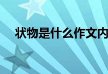 狀物是什么作文內(nèi)容（狀物是什么意思）