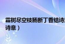 霜樹盡空枝腸斷丁香結(jié)詩意是啥（霜樹盡空之腸斷丁香結(jié)的詩意）