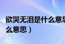 欲哭無淚是什么意思?。ㄓ逕o淚的意思是什么意思）
