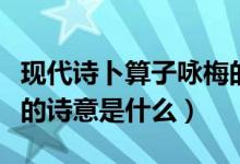 現(xiàn)代詩(shī)卜算子詠梅的詩(shī)意是什么（卜算子詠梅的詩(shī)意是什么）