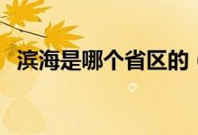 濱海是哪個省區(qū)的（濱海是哪個省的城市）