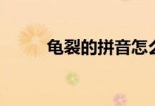 龜裂的拼音怎么寫（龜裂的拼音）