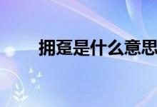 擁躉是什么意思（擁躉是什么意思）