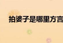 拍婆子是哪里方言(拍婆子是什么意思)