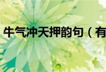 牛氣沖天押韻句（有關牛氣沖天押韻句范例）