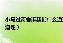 小馬過(guò)河告訴我們什么道理和啟示（小馬過(guò)河告訴我們什么道理）
