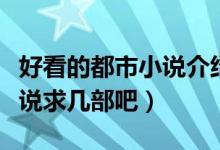 好看的都市小說介紹完結(jié)（好看的都市完結(jié)小說求幾部吧）