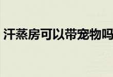 汗蒸房可以帶寵物嗎（汗蒸房可以帶手機嗎）