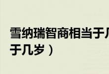 雪納瑞智商相當于幾歲小孩（雪納瑞智商相當于幾歲）
