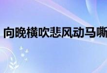 向晚橫吹悲風(fēng)動馬嘶合（向晚橫吹悲下一句）