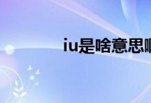 iu是啥意思?。╥u是啥意思）