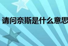 請問奈斯是什么意思（網(wǎng)上奈斯是什么意思）