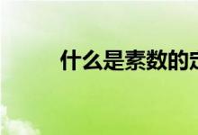 什么是素數(shù)的定義（什么是素數(shù)）