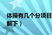 體操有幾個(gè)分項(xiàng)目,分別為什么（快來(lái)這里了解下）