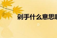 剁手什么意思?。ǘ缡质裁匆馑迹?class=